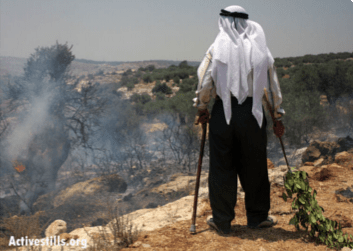 from A SHIFT TOWARDS CONSCIOUS ACTIVISM