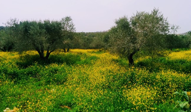 clone tag: -379357752039984257