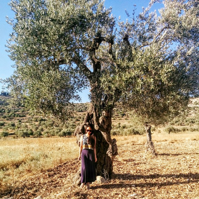 MYXJ_20160630211049_save