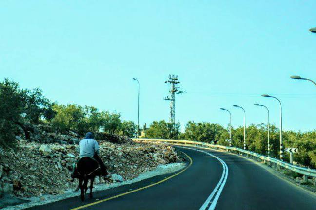 23548457_10156847460948266_1562609685_n